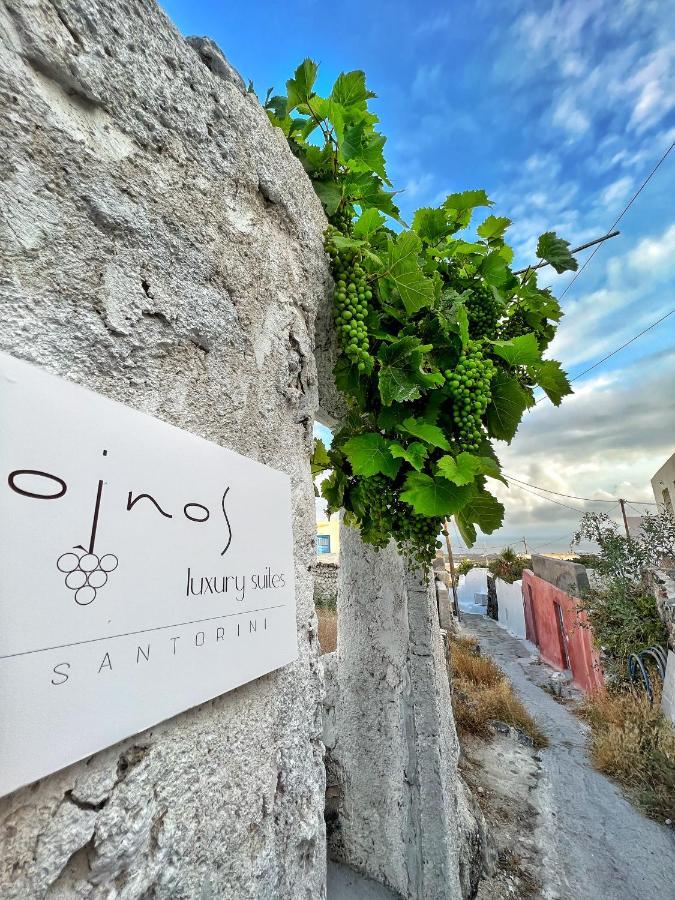 Oinos Luxury Suites Foinikiá Zewnętrze zdjęcie